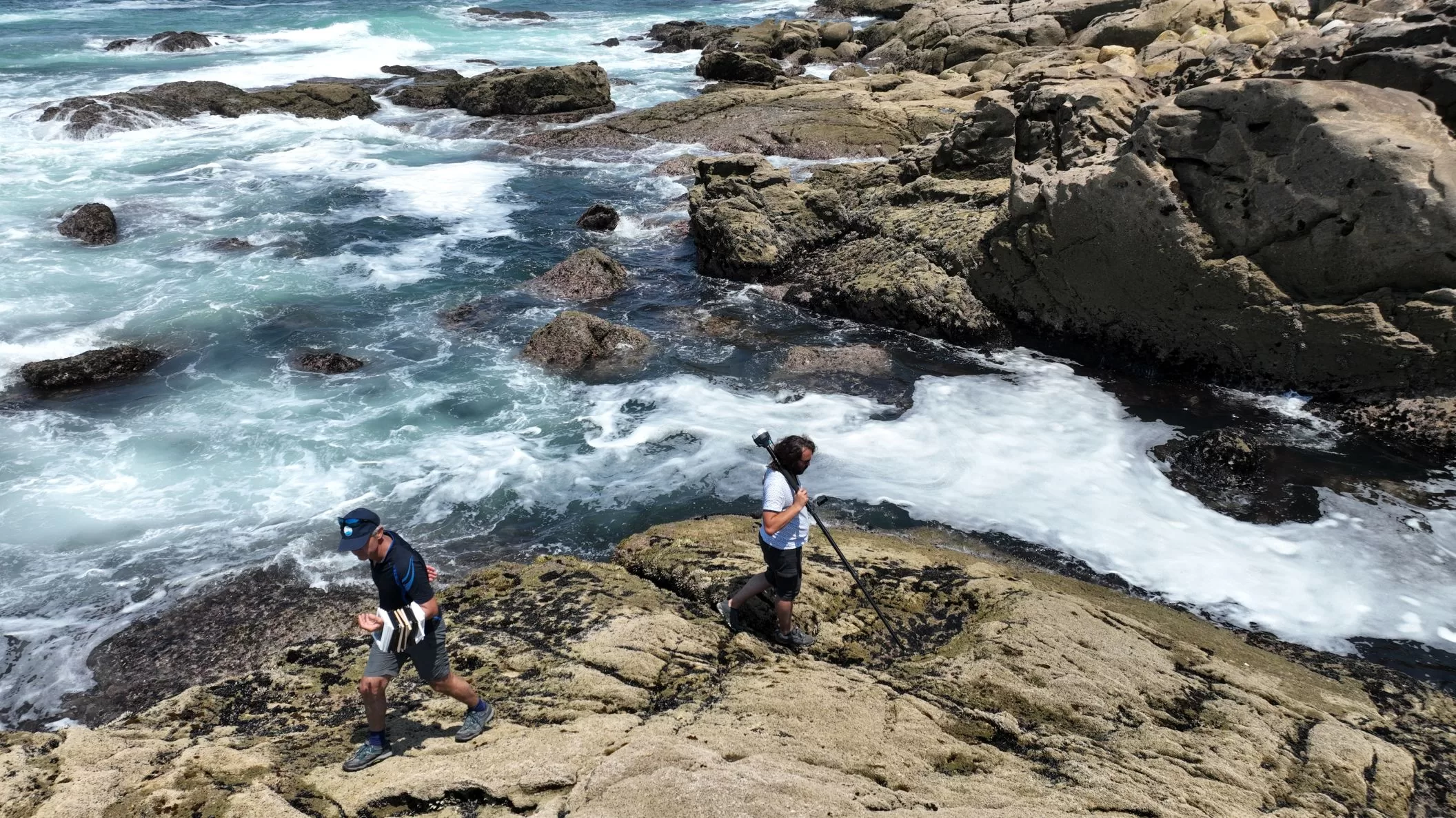 Discrimination of the intertidal goose barnacle Pollicipes pollicipes from rocky shore invertebrates and macroalgae using in situ hyperspectral signatures
