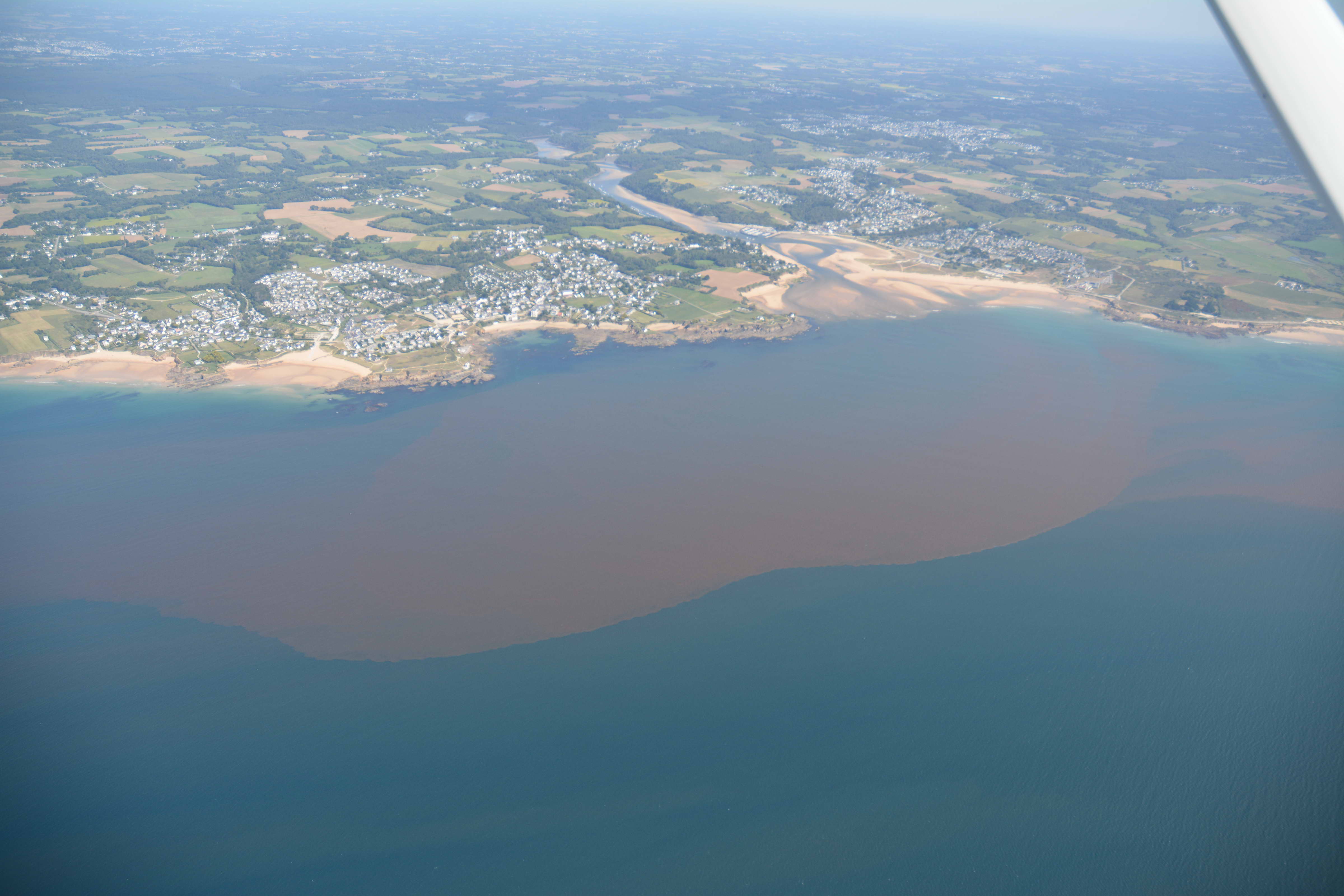 Toward elucidating accessory pigments in intense phytoplankton blooms using hyperspectral satellite remote sensing in support of harmful algal bloom (HAB) monitoring